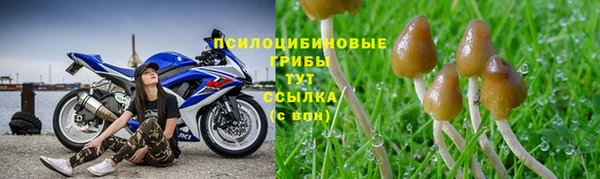 наркотики Михайлов