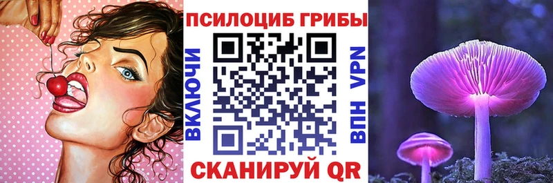 Псилоцибиновые грибы мицелий  хочу наркоту  Микунь 